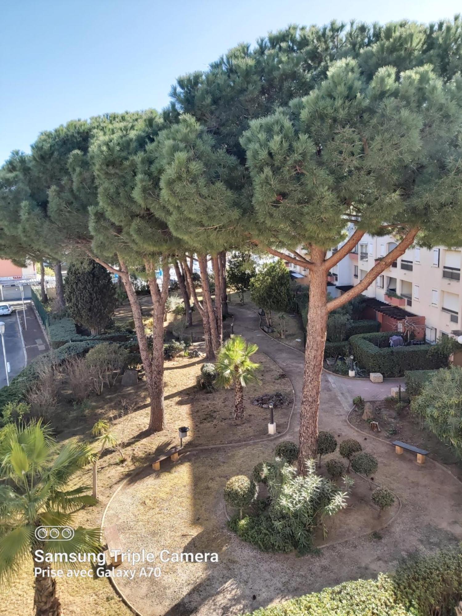 Coquet Studio Centre Port Cap D'Agde Exterior photo